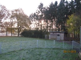 Novembergänse-37.jpg